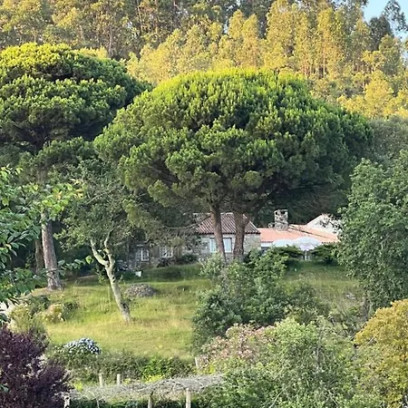 Casa Mata Da Ribeira Guest House Barcelos Exterior photo