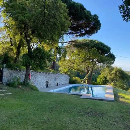 Casa Mata Da Ribeira Guest House Barcelos Exterior photo